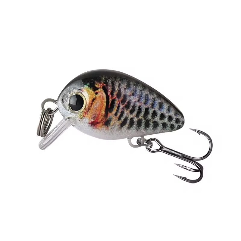 Combo 5 Señuelos Mini Minnow Caramelo Con Caja Pesca Rojo