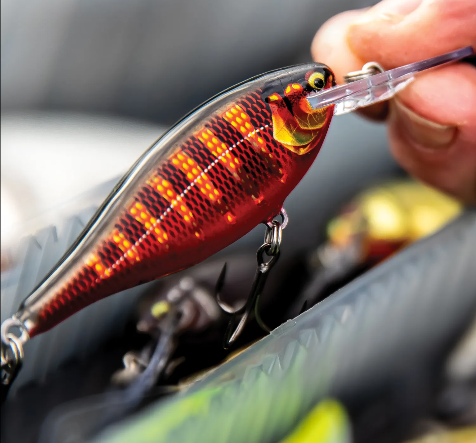 Rapala Shad Rap Elite Crankbait