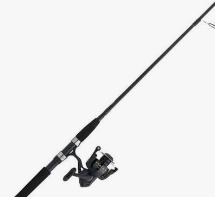 PENN Wrath II Spinning Combo 4000