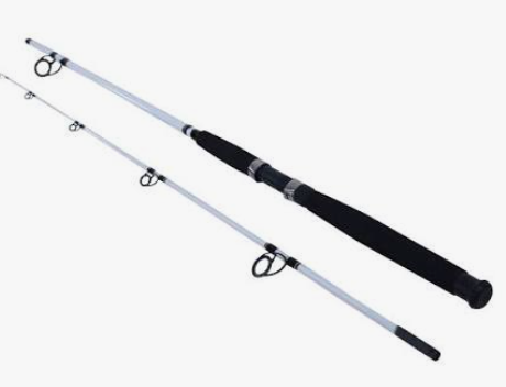 Berkley Big Game Casting Rod Pesca Pesada