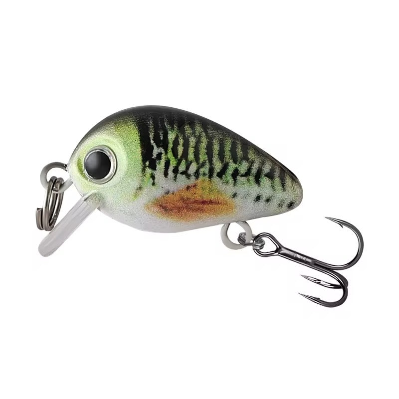 Combo 5 Señuelos Mini Minnow Caramelo Con Caja Pesca