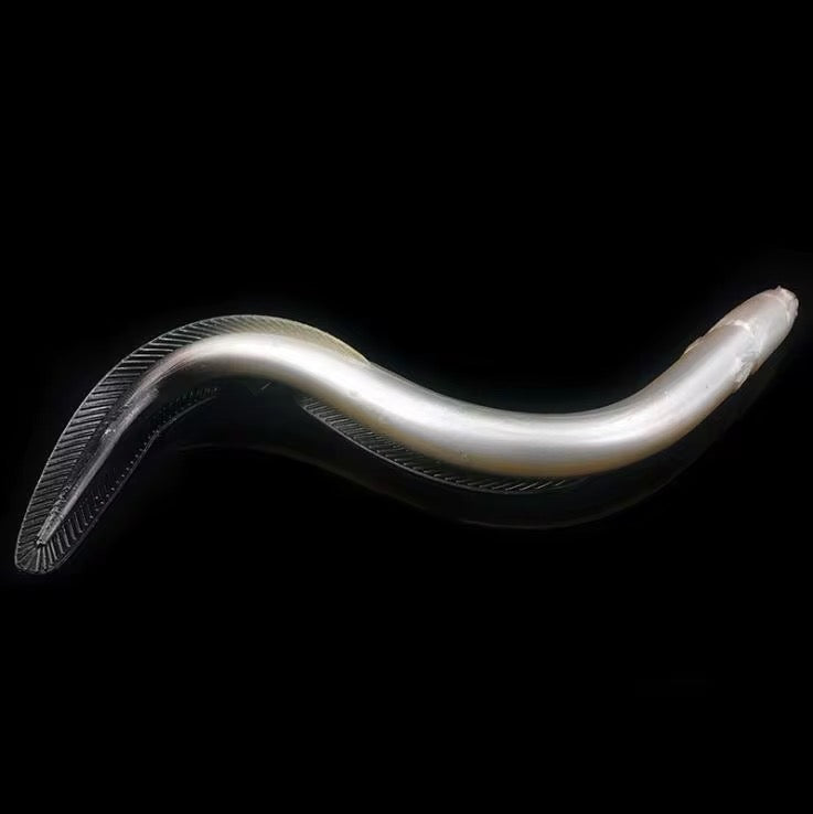 Señuelo Anguila Realista 30cm 58grs Pesca Dorado Surubi