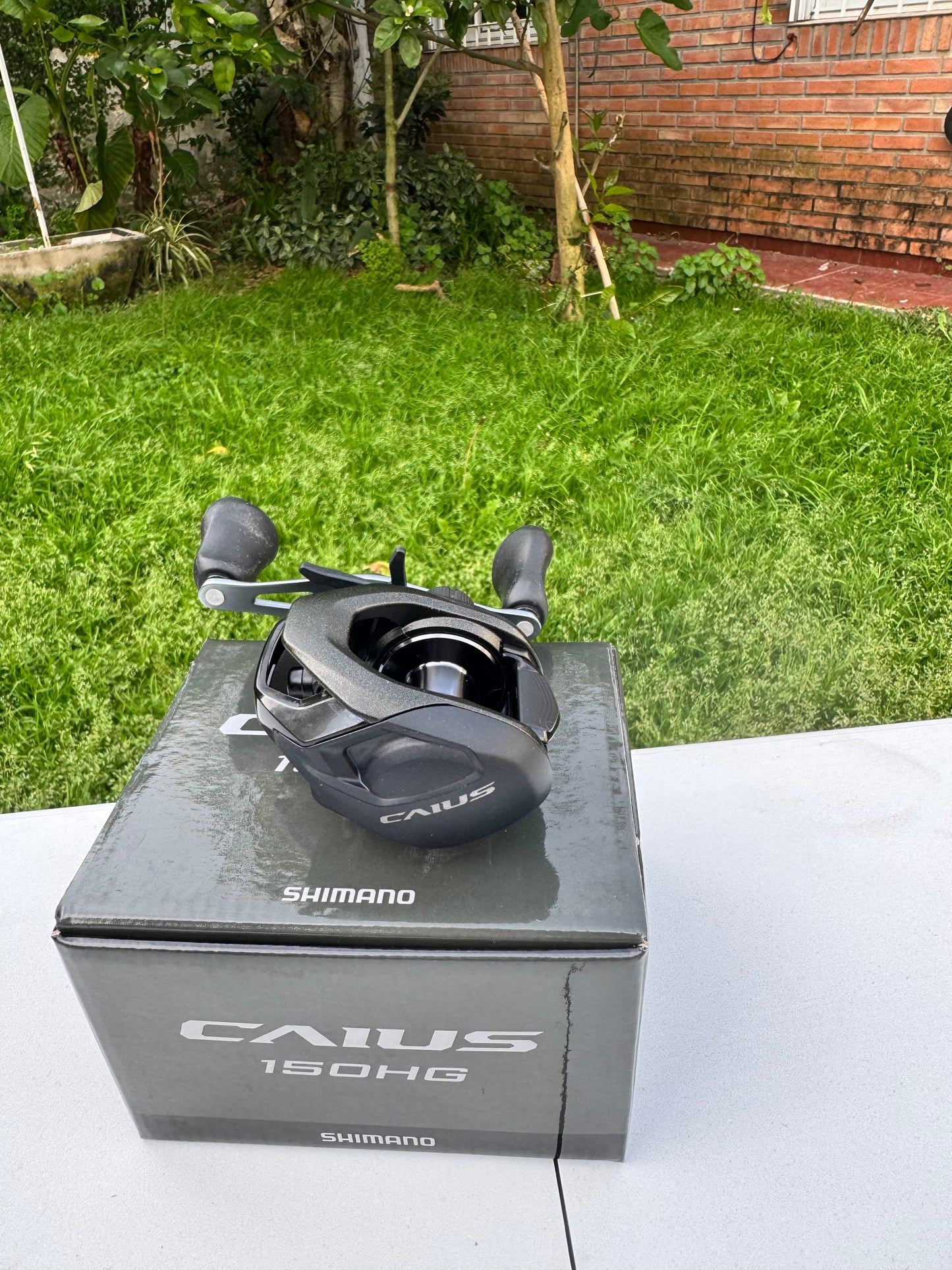 Shimano CAIUS C — Tamaño 150HG — Manija derecha
