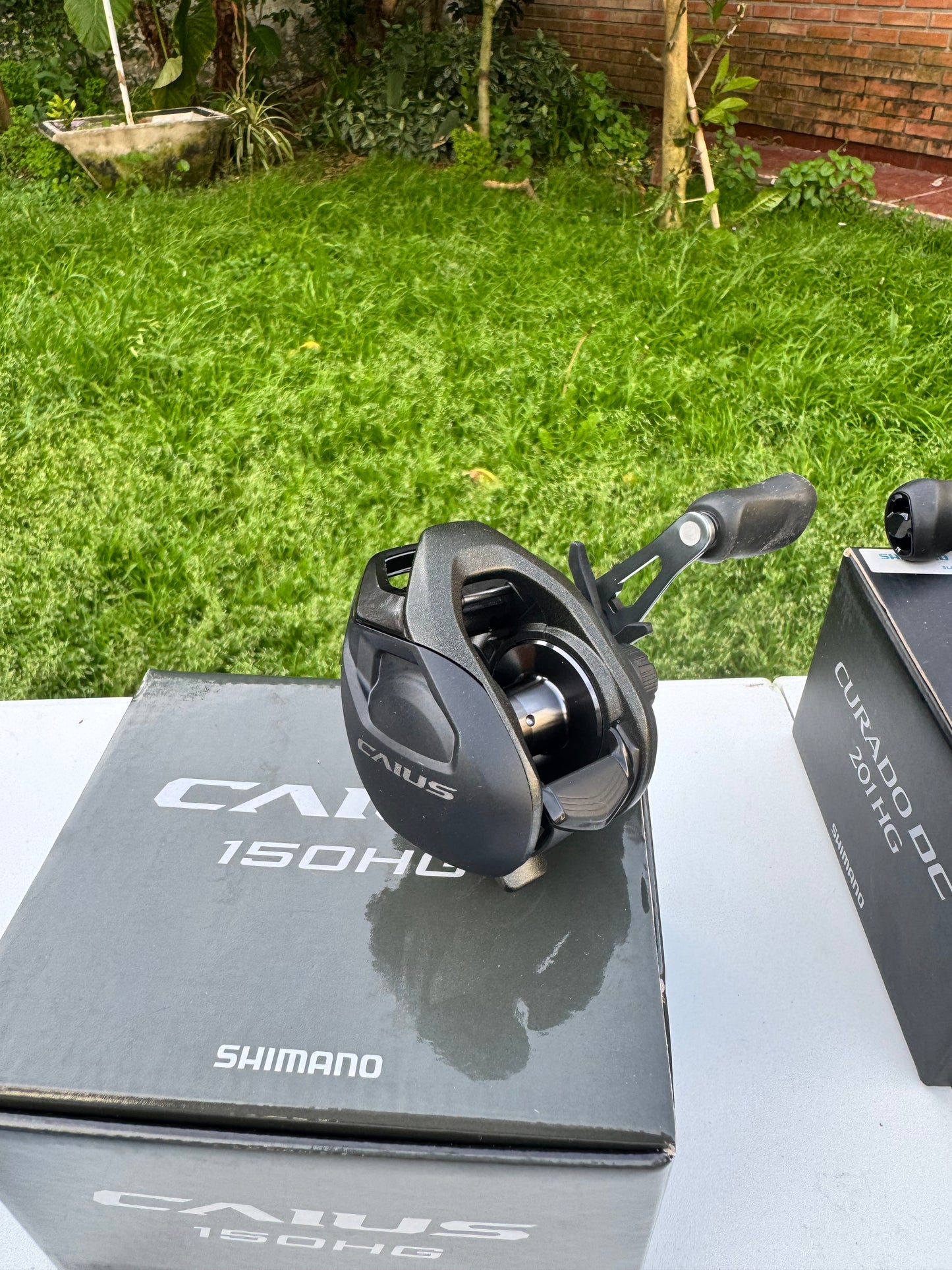 Shimano CAIUS C — Tamaño 150HG — Manija derecha