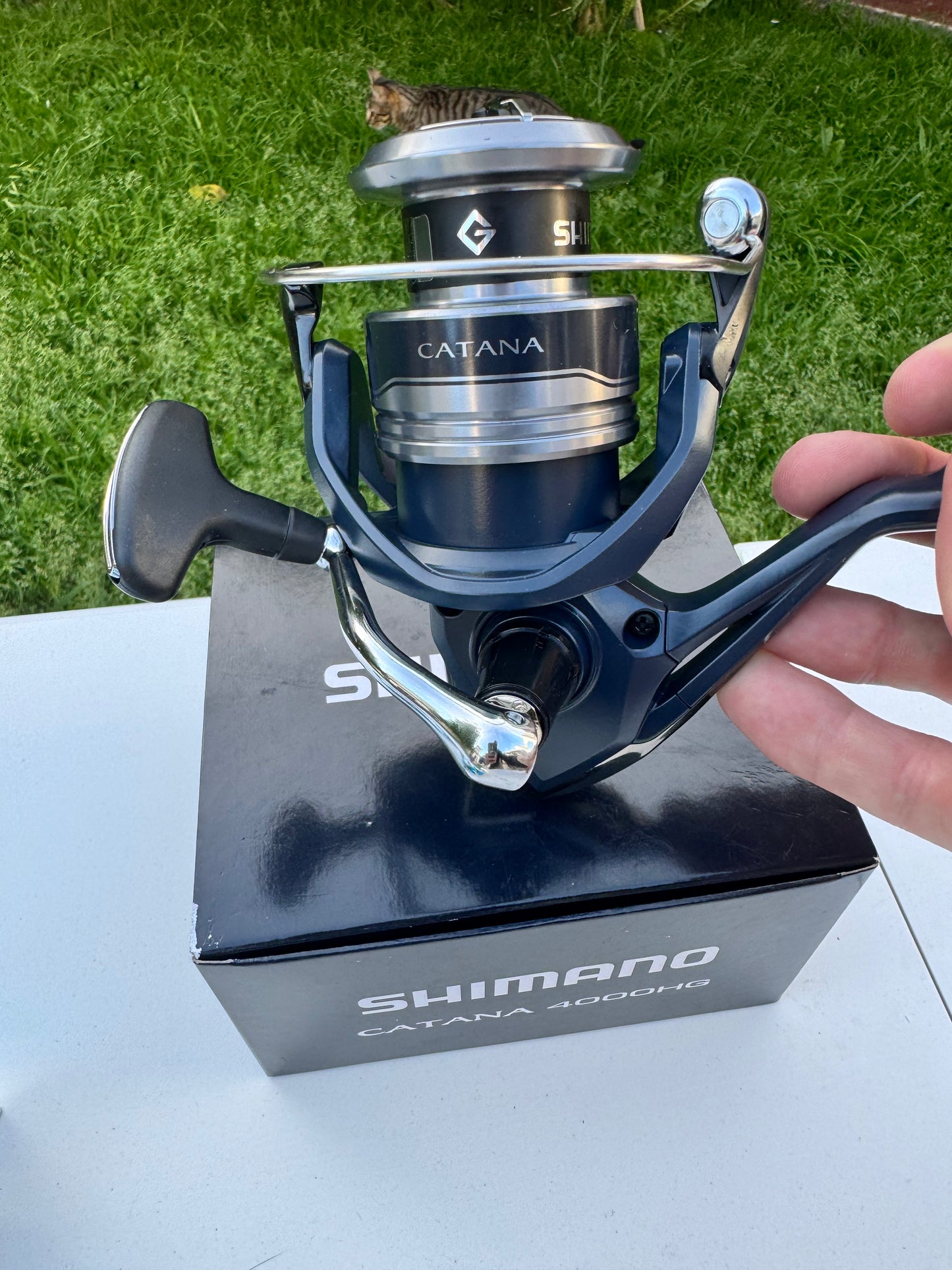 Shimano CATANA FE — Tamaño C3000HG — Reel Spinning